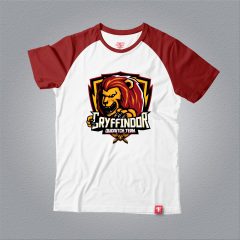 Áo thun Gryffindor Quidditch Team – Raglan